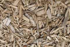 biomass boilers Gracca
